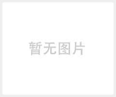 盛兴瑞SD-331桌上型全自动点胶机